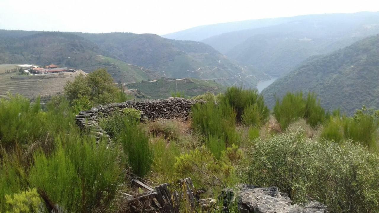 فيلا Casa Do Conto Doade المظهر الخارجي الصورة